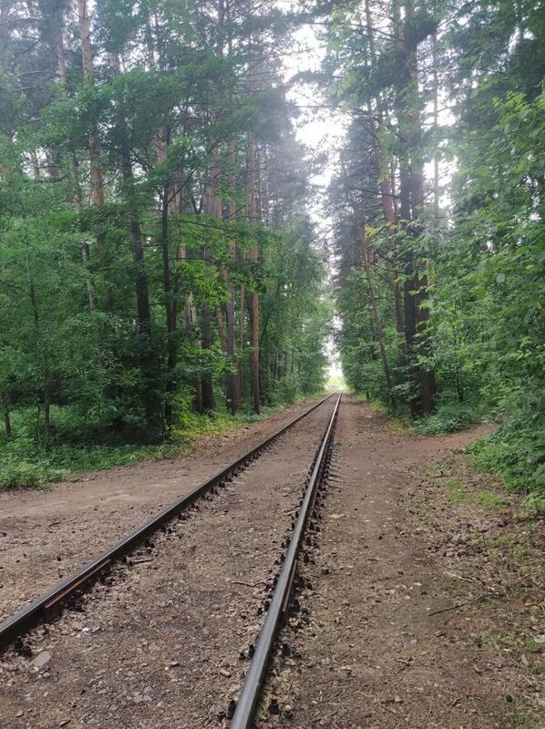 Чайная беседка