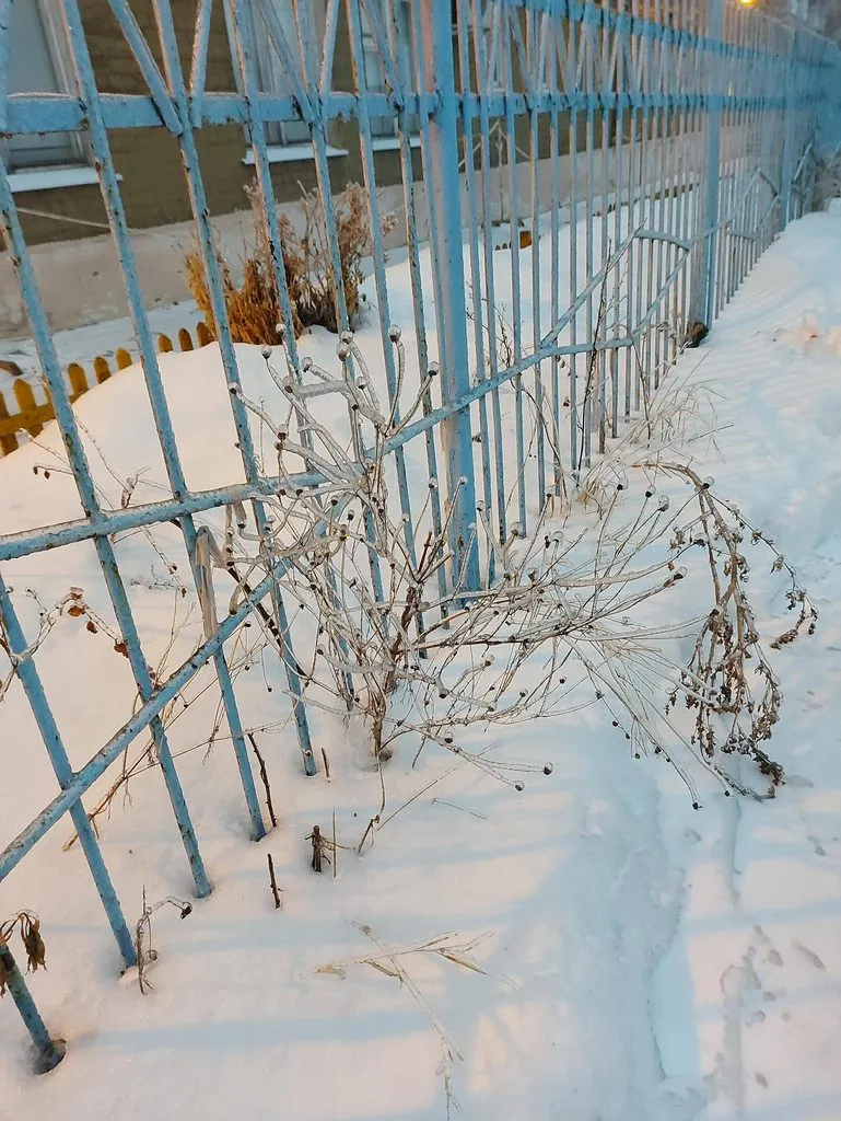 Чайная беседка