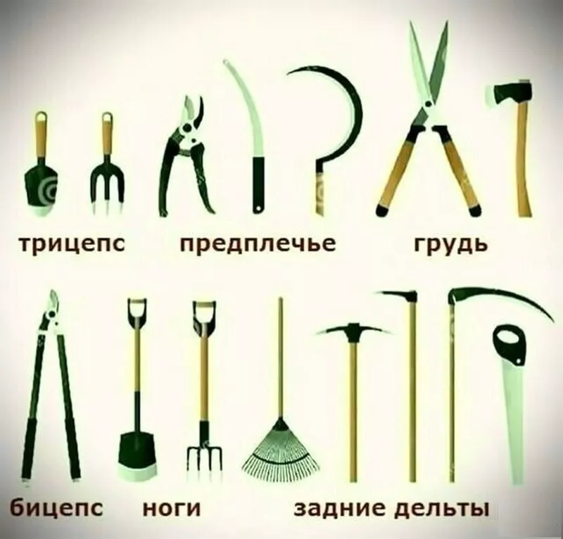 Загородная жизнь - обустройство на земле во всем разнообразии