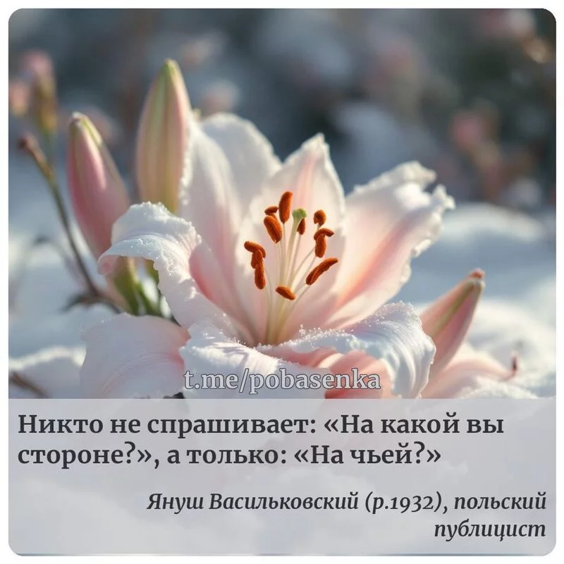 «Никто не спрашивает На какой вы стороне?, а только На...» height="550" width="550"