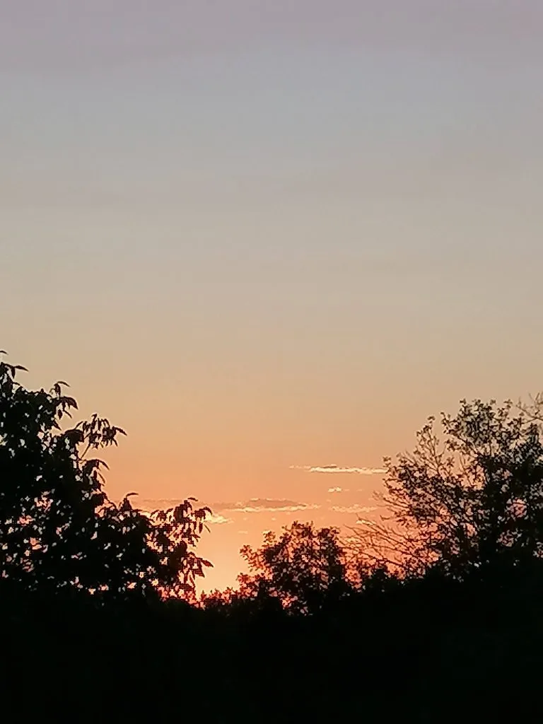 Чайная беседка