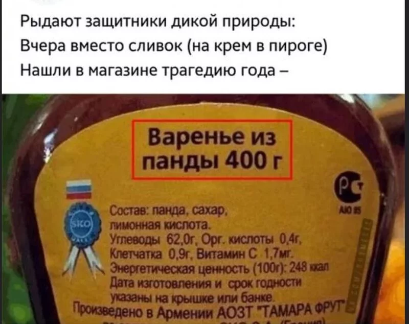 Всюду рифмы