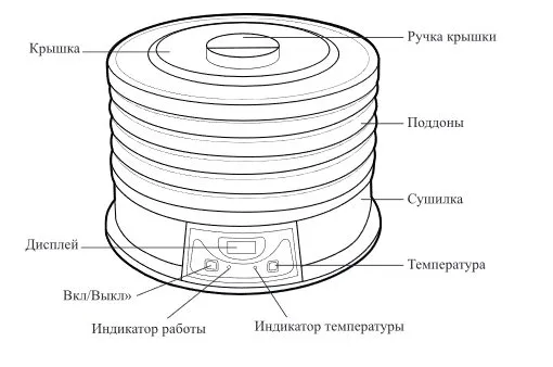 Сушилки для овощей и фруктов Kitfort КТ-1929 и КТ-1931