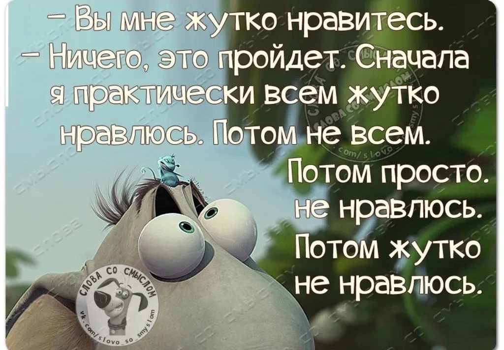Посмеялся сам - поделись с другом!!!