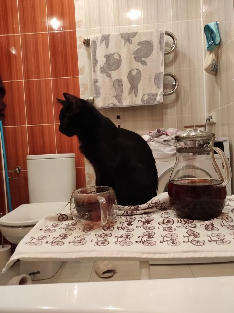 Tapтaлeтки & Ко