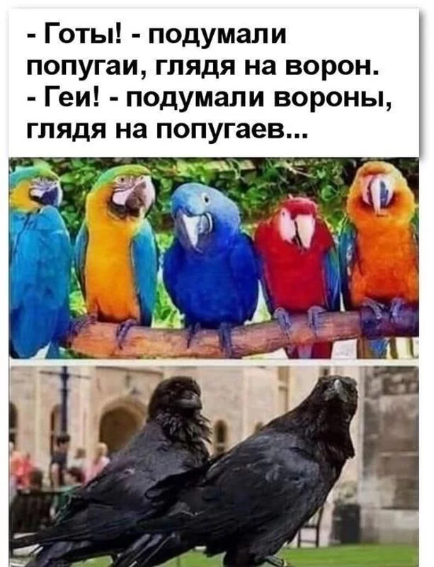 Посмеялся сам - поделись с другом!!!