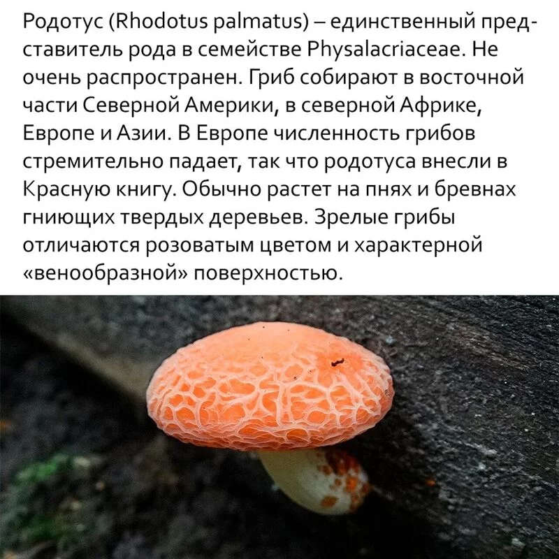 Это интересно!