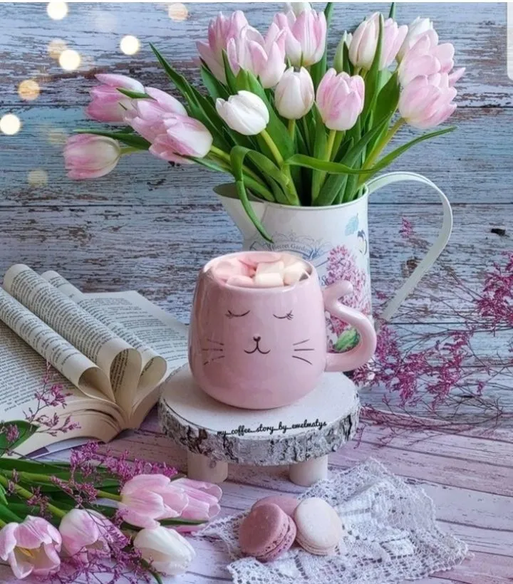 Кафе «У пани Сони»