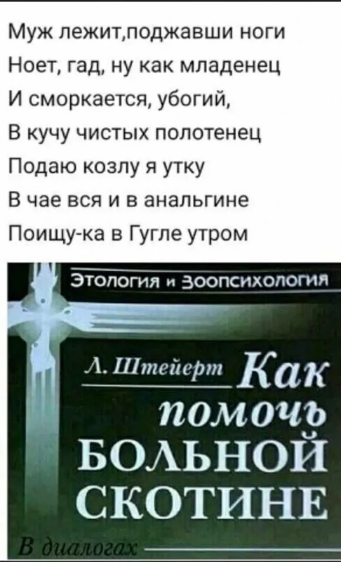 Всюду рифмы