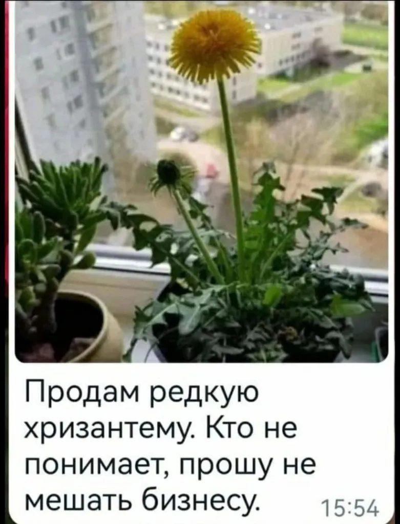 Посмеялся сам - поделись с другом!!!