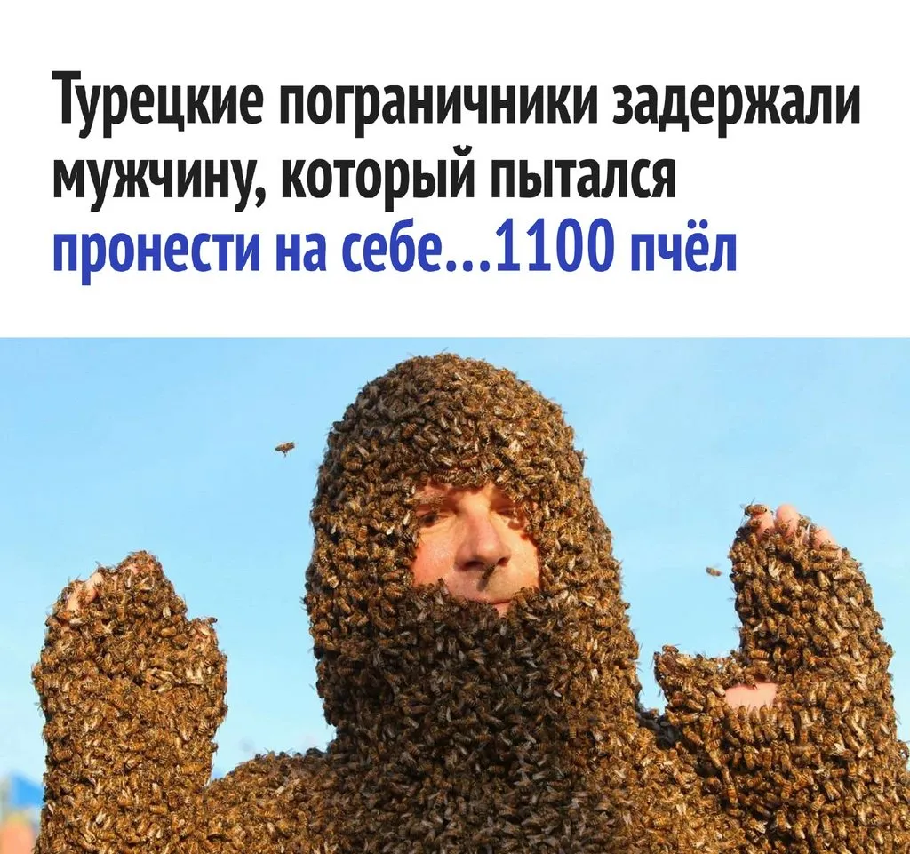 Пчёлки очень любят мёд