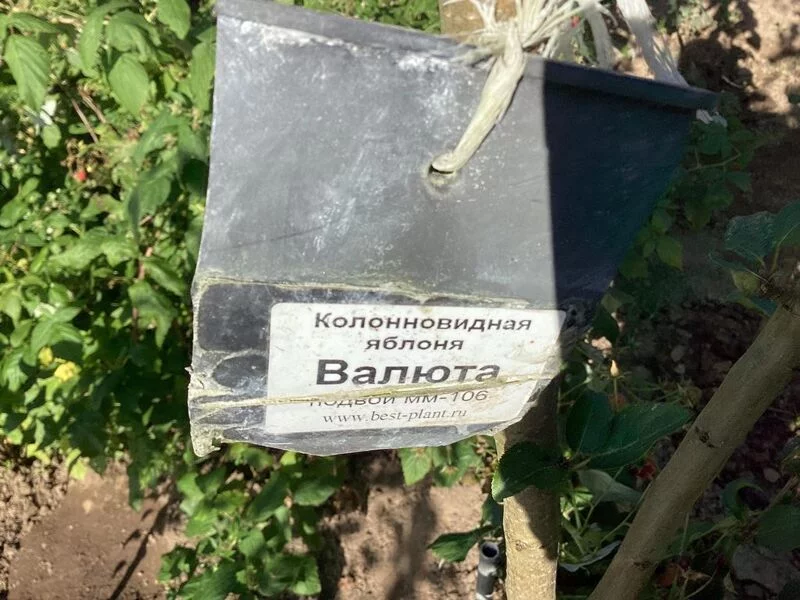 Загородная жизнь - обустройство на своей земле во всем ее разнообразии