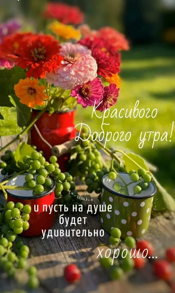 Tapтaлeтки & Ко