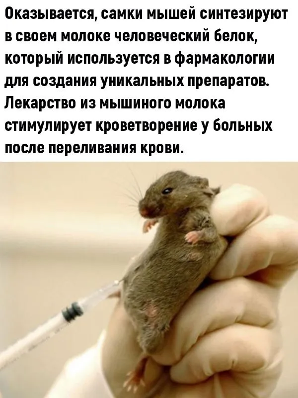 Это интересно!
