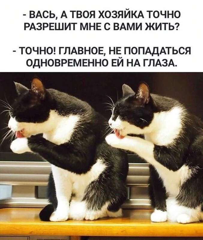 Посмеялся сам - поделись с другом!!!