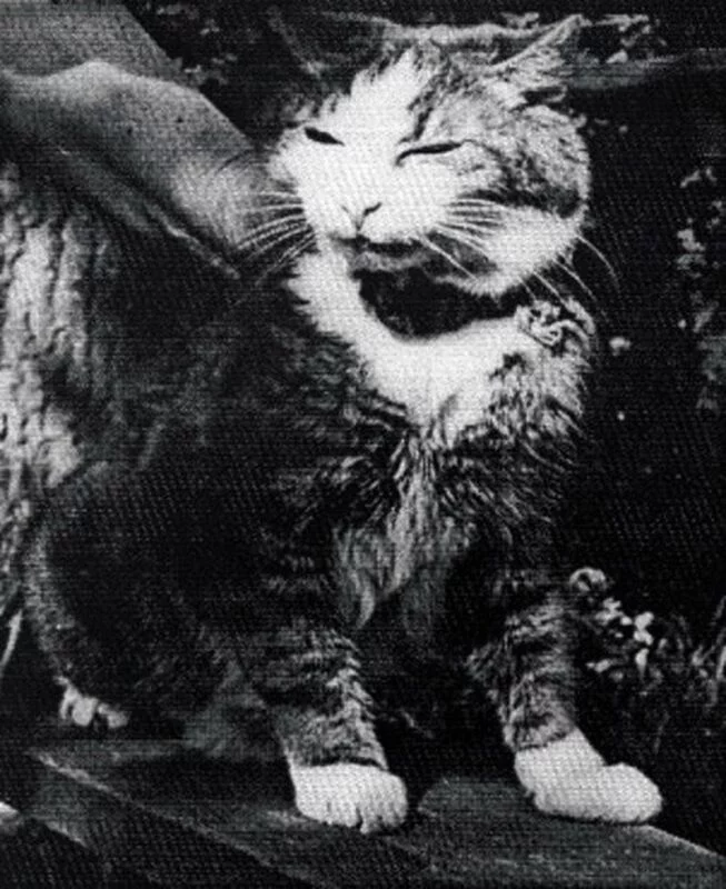 Это интересно!