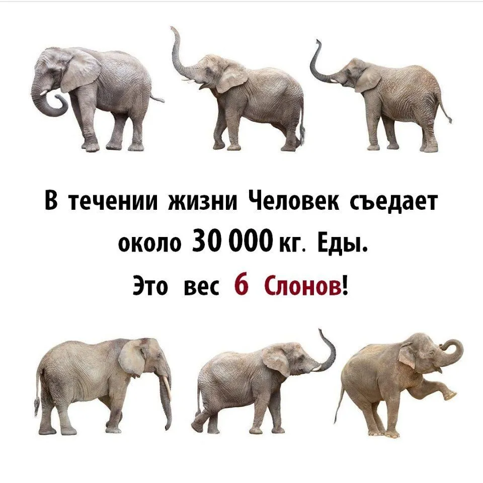 Это интересно!
