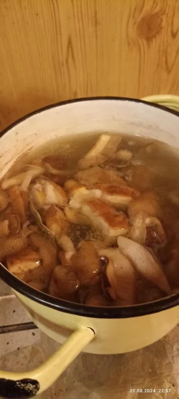 По грибы с лукошком