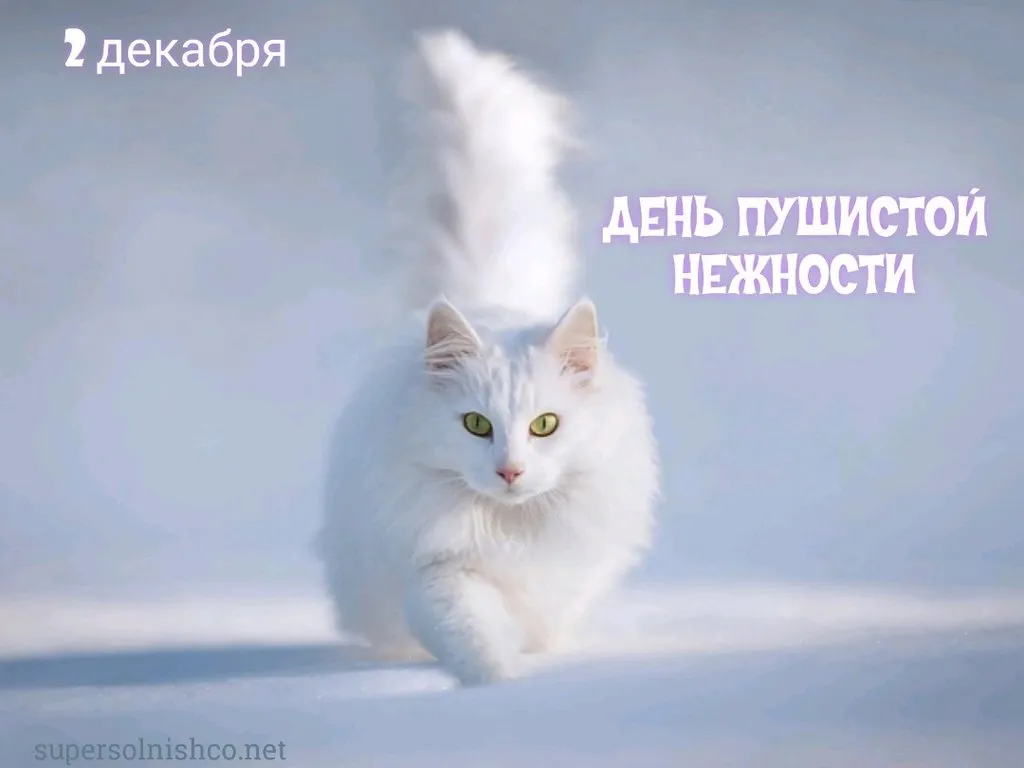 Позитивчик (фото, видео, рассказы для хорошего настроения)
