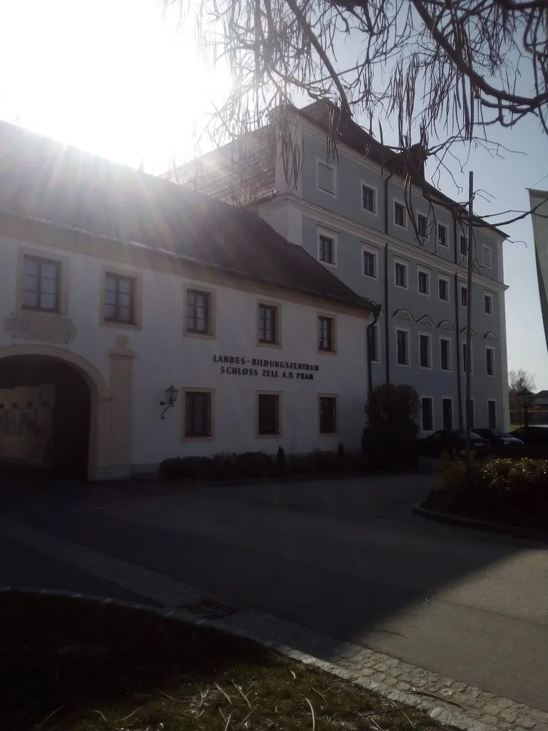 Tapтaлeтки & Ко