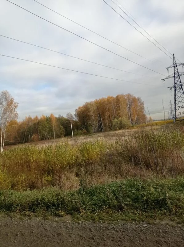 Чайная беседка
