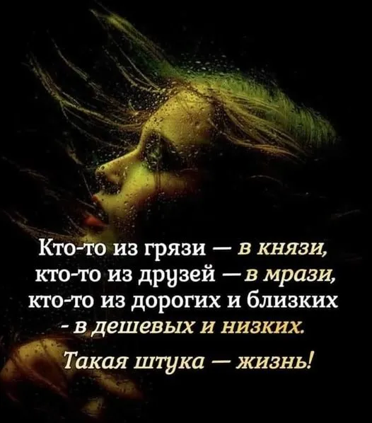 Лаконичная мудрость