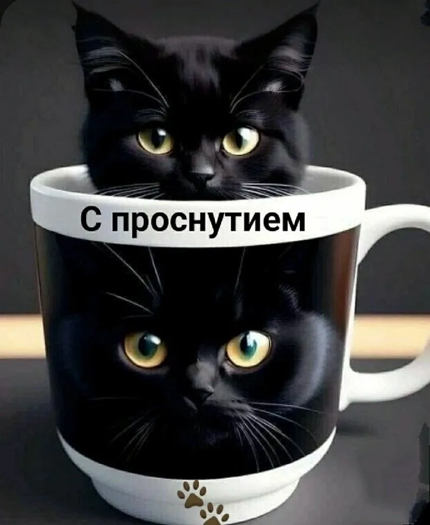 Кафе "У пани Сони"