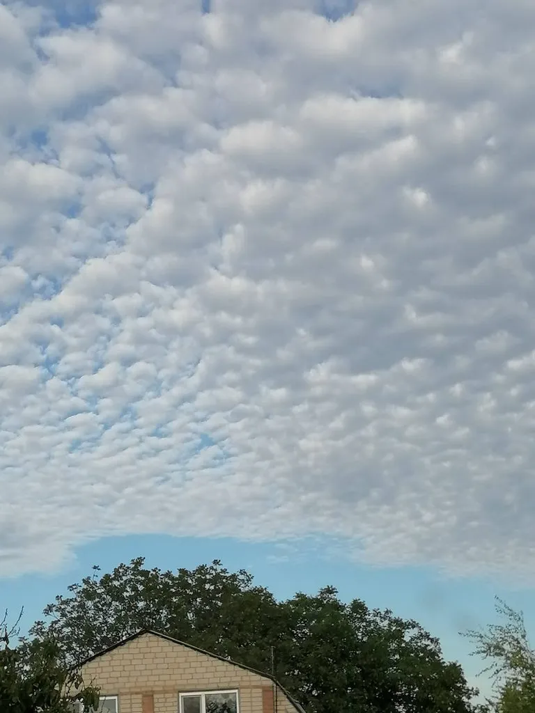 Чайная беседка