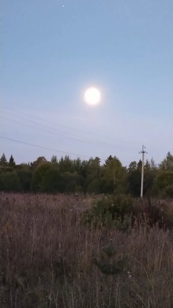 Такое разное небо