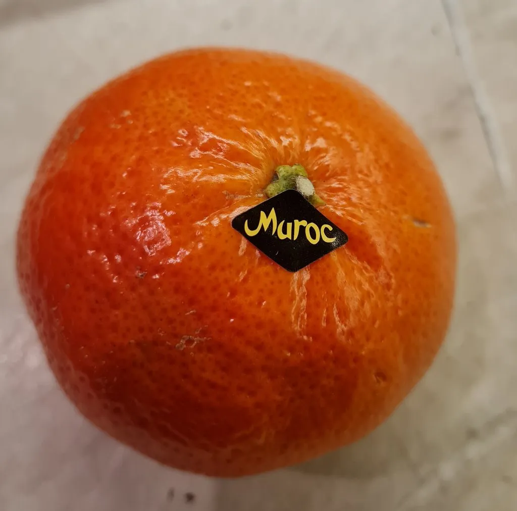 Где, что и когда купить в Москве