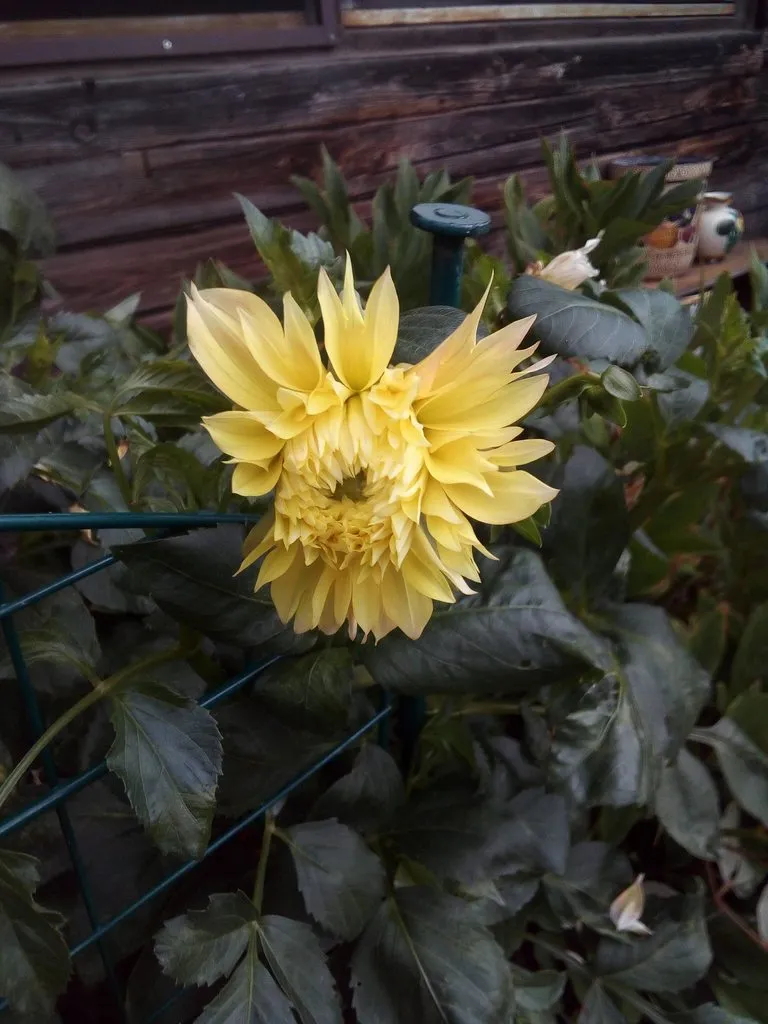 Чайная беседка