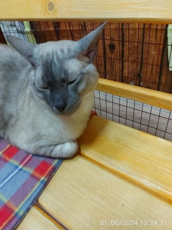 Чайная беседка