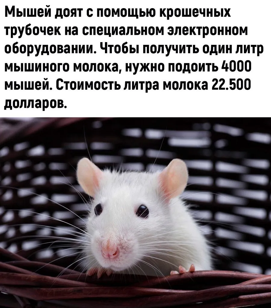 Это интересно!