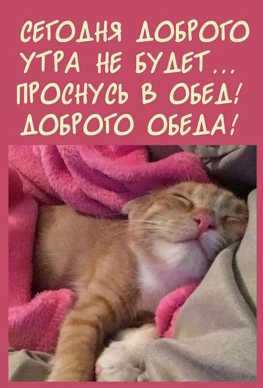 Кафе "У пани Сони"