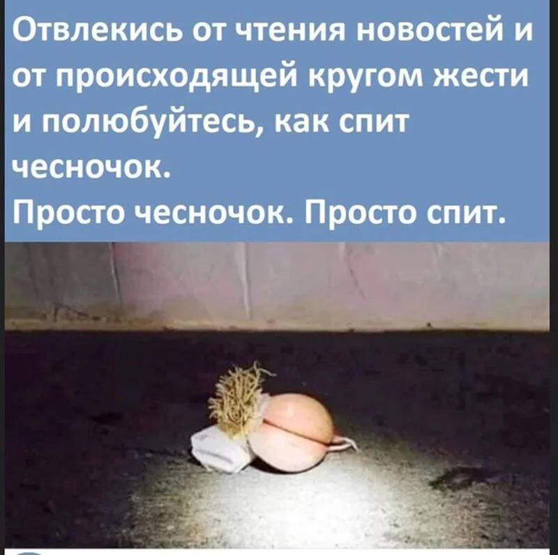 Позитивчик (фото, видео, рассказы для хорошего настроения)