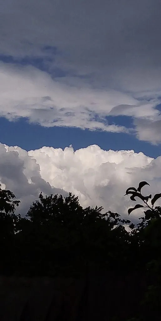 Чайная беседка