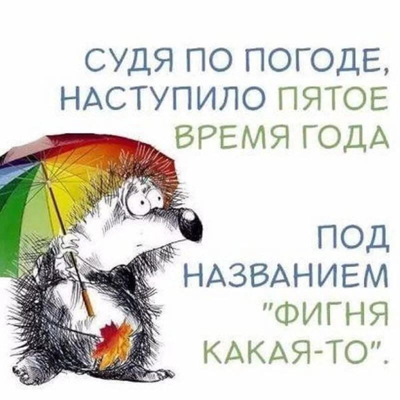 Позитивчик (фото, видео, рассказы для хорошего настроения)