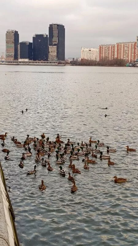 Коломенское