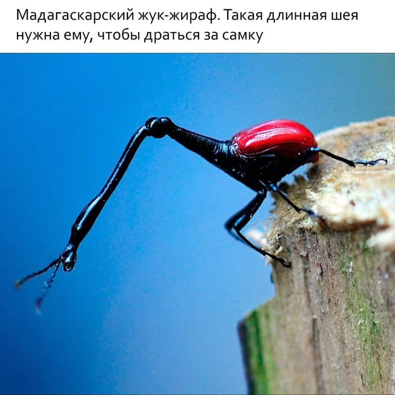 Это интересно!