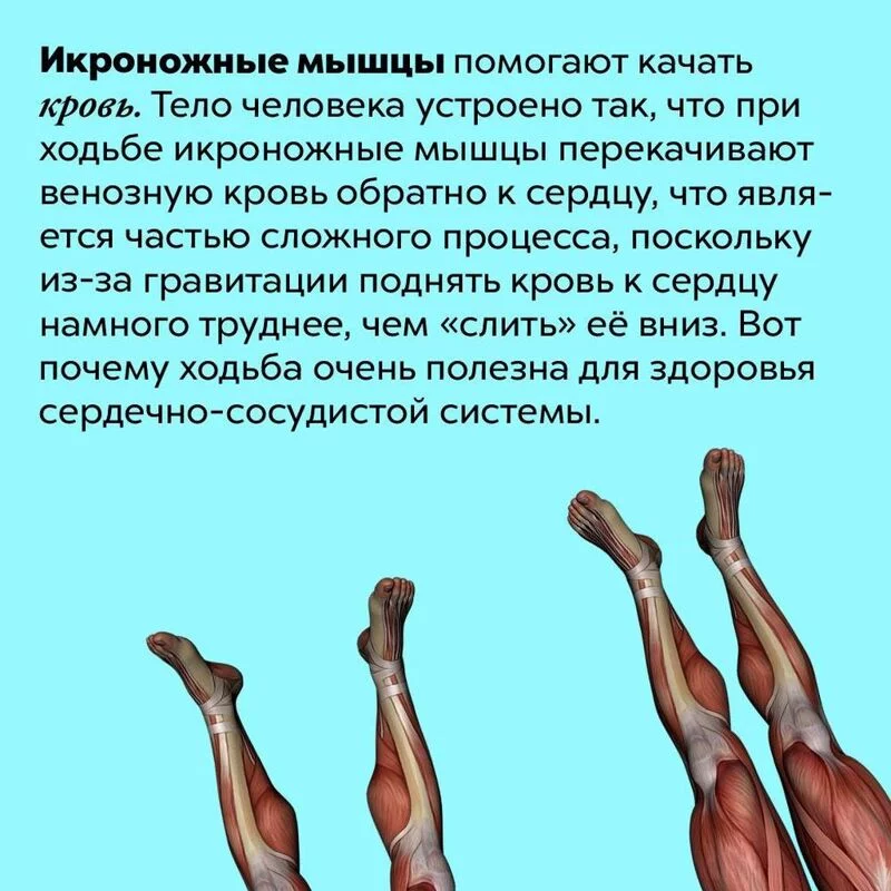 Медицинская инфографика