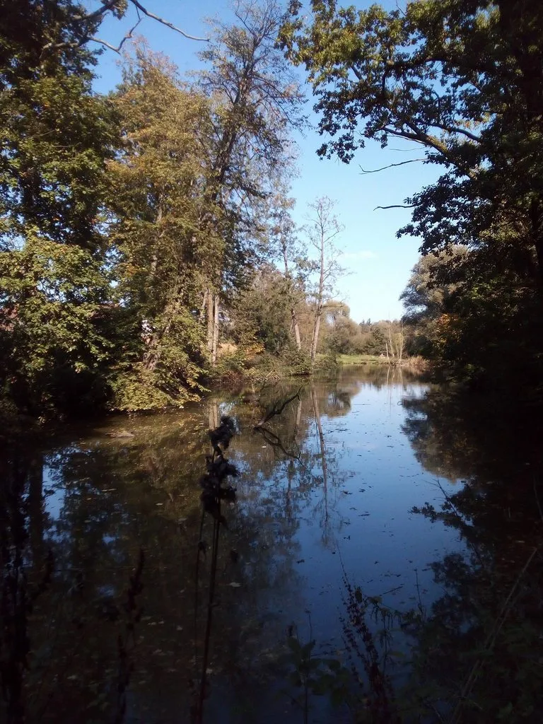 Tapтaлeтки & Ко