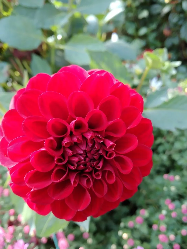 Чайная беседка