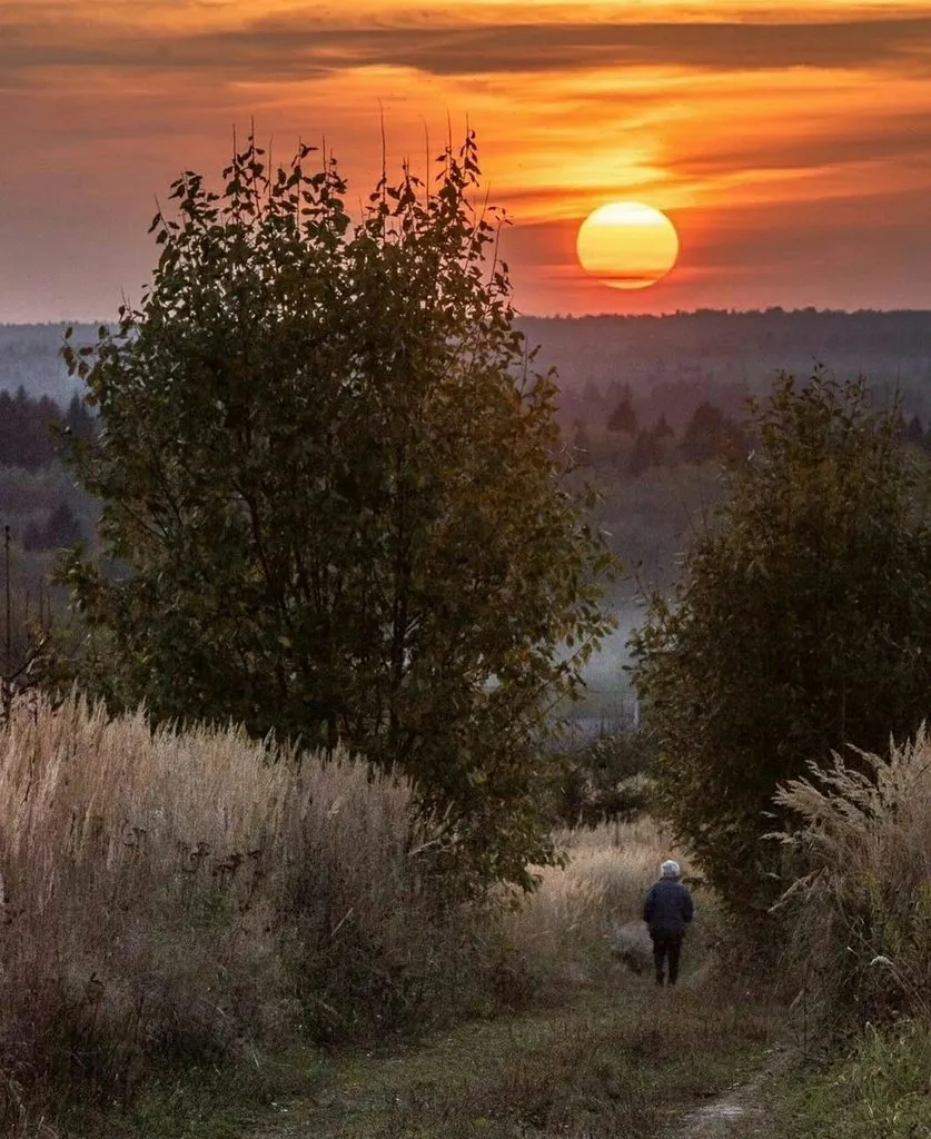 Арт галерея