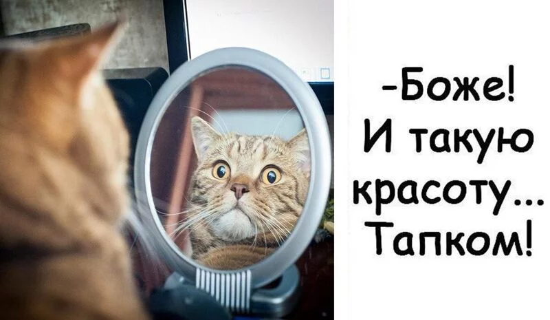 Посмеялся сам - поделись с другом!!!