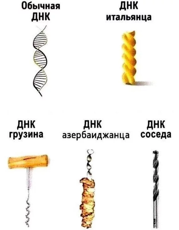 Посмеялся сам - поделись с другом!!!