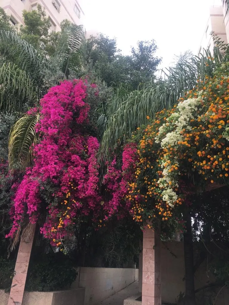 Чайная беседка