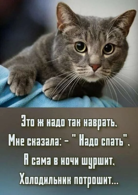 Посмеялся сам - поделись с другом!!!