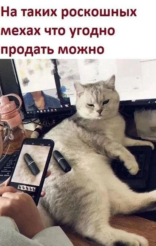 Посмеялся сам - поделись с другом!!!