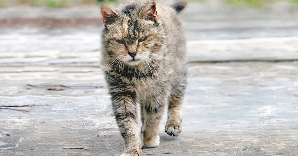 Рассказы для души