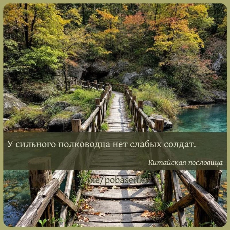 «У сильного полководца нет слабых...» height="550" width="550"